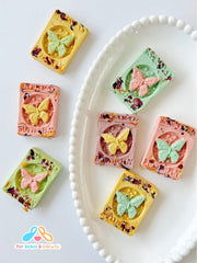 freeze - dried & baked treats box - For beans and biscuits